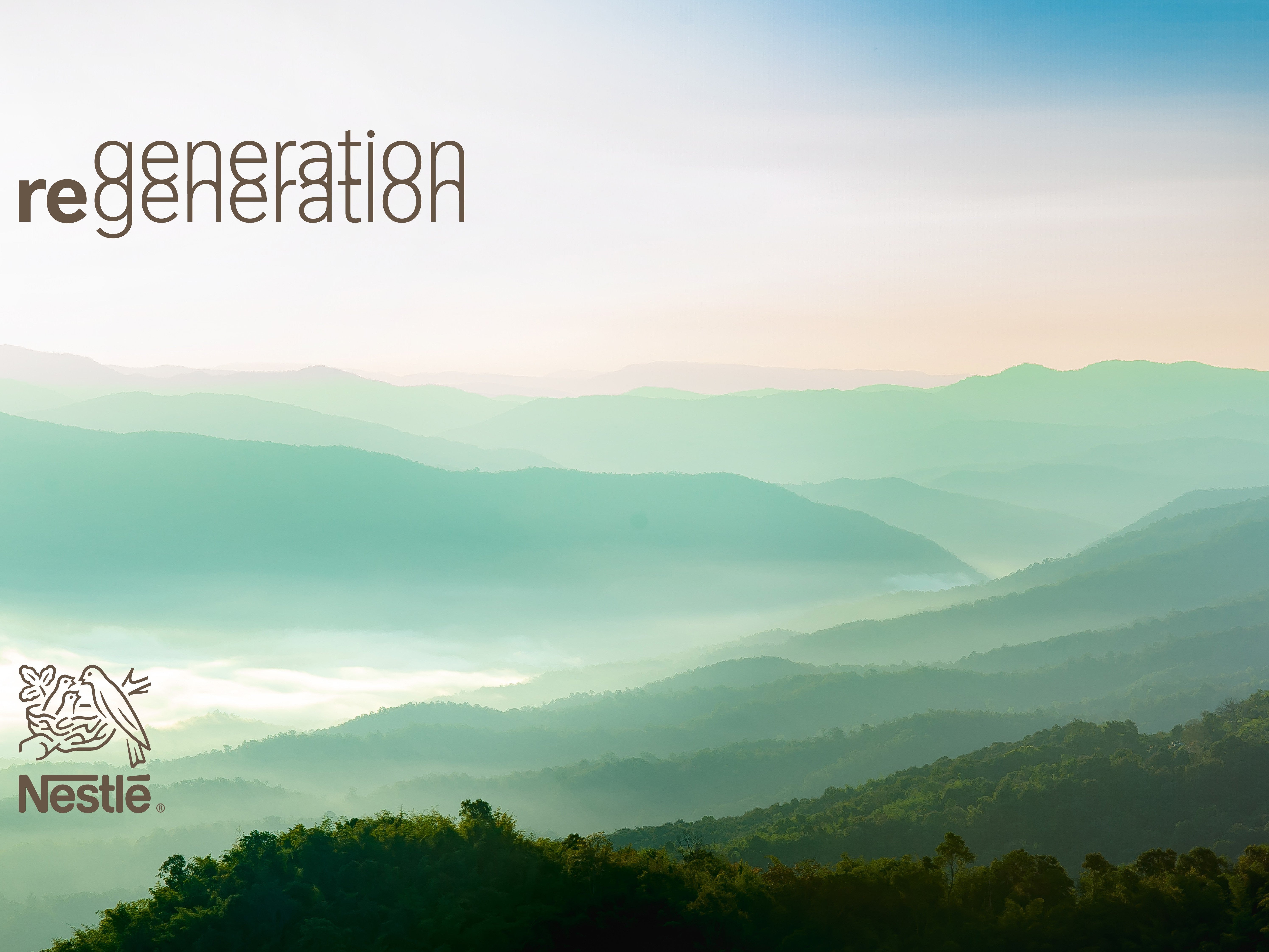 RECYCLABILITE BE header image