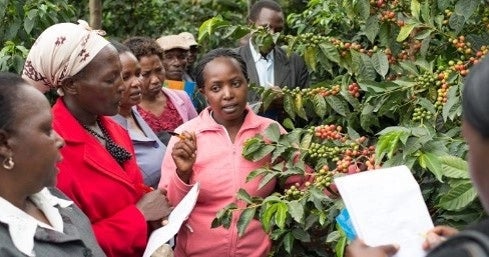 Verantwoord inkopen en wereldwijde erkenning