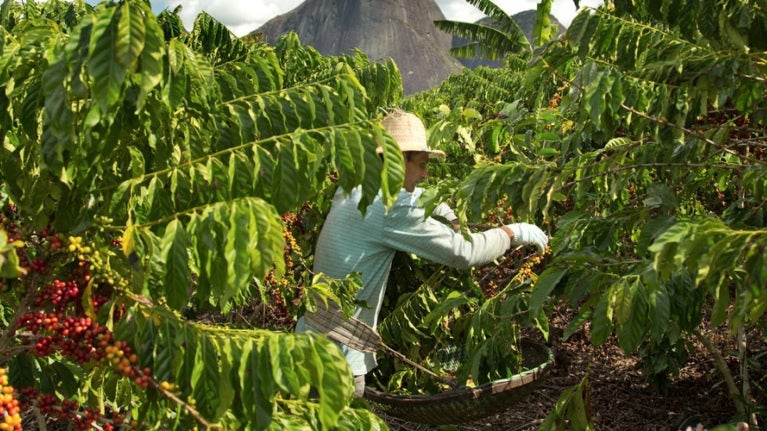 Een toekomst gebouwd op samenwerking en regeneratie