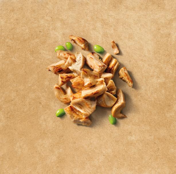 ÉMINCÉS VEGGIE GARDEN GOURMET
