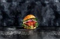 SENSATIONAL BURGER GARDEN GOURMET burger