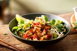 teriyaki rice buddha bowl staand